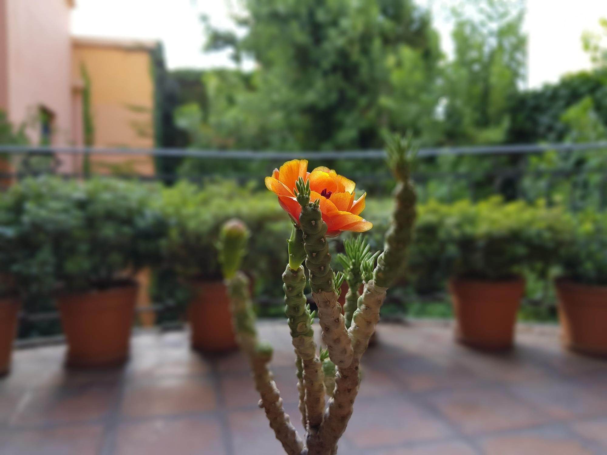 Legado Mitico Salta Hotel Boutique ภายนอก รูปภาพ